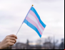 Sindicato avança no combate à discriminação de trabalhadoras transexuais